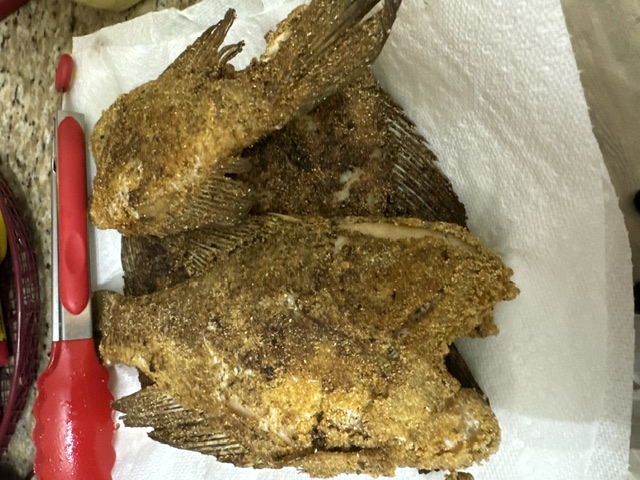 Southern Fried Brim
